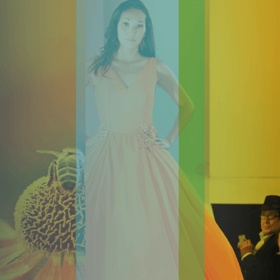 Model in an orange dress with flower detail, with a bee and blurred background elements.